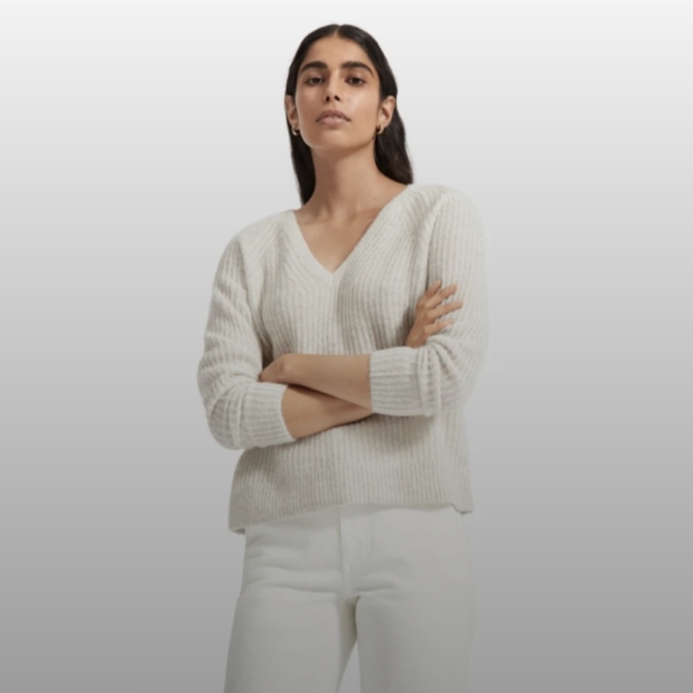 Everlane alpaca v neck sweater